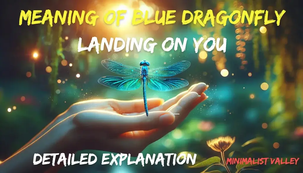 meaning of blue dragonfly landing on you